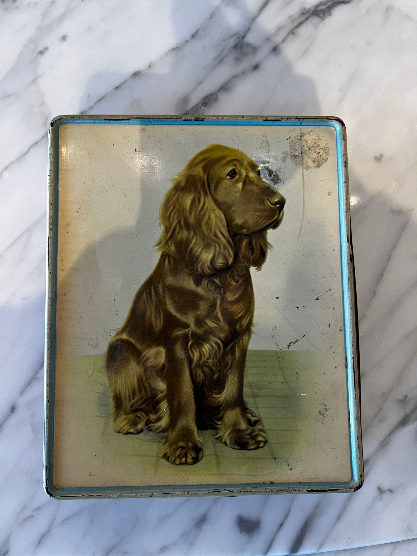 DOG TIN