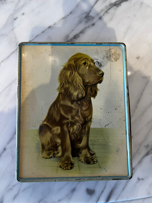 DOG TIN