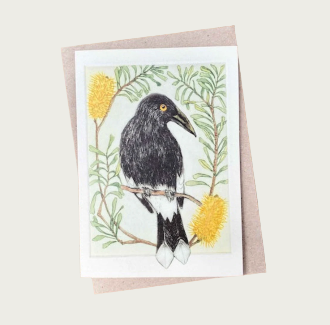 GREETING CARD – PIED CURRAWONG