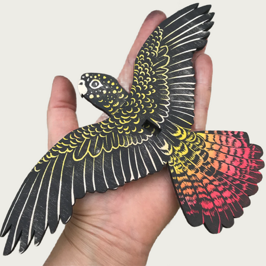 MOBILE – FEMALE RED-TAILED BLACK COCKATOO