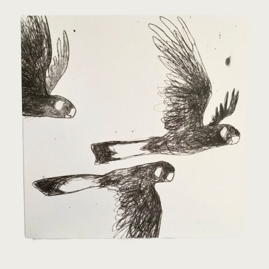 GREETING CARD – GENTLY FLAPPING CALMLY CALLING