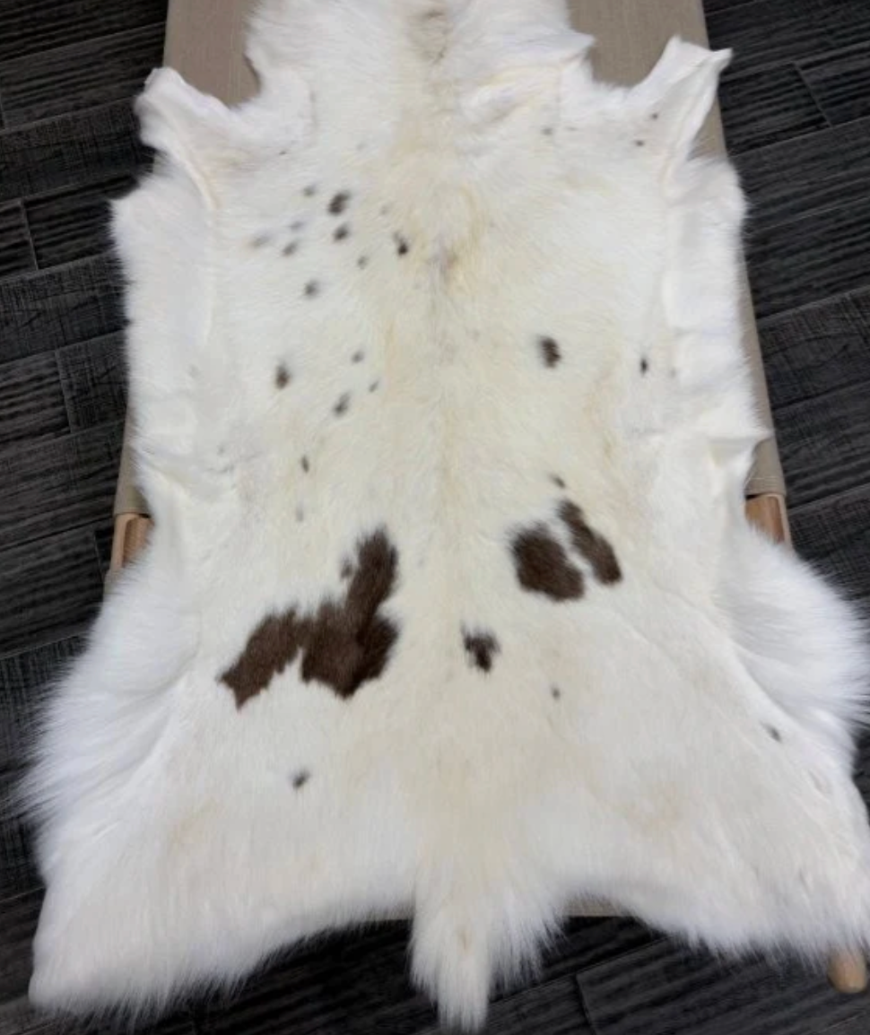 ALBINO REINDEER HIDE - SPOTTED