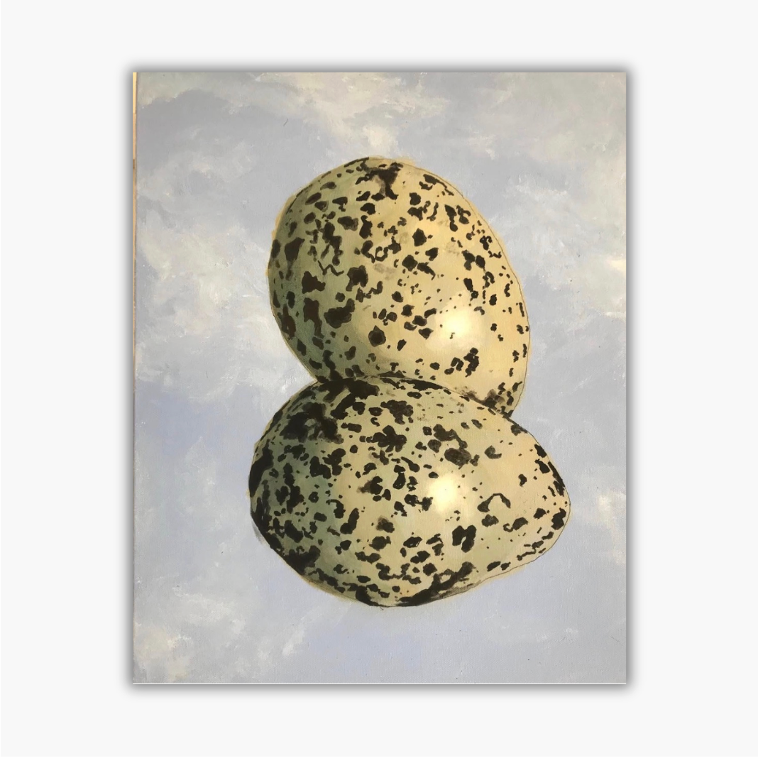 PLUVER EGGS OIL ON CANVAS