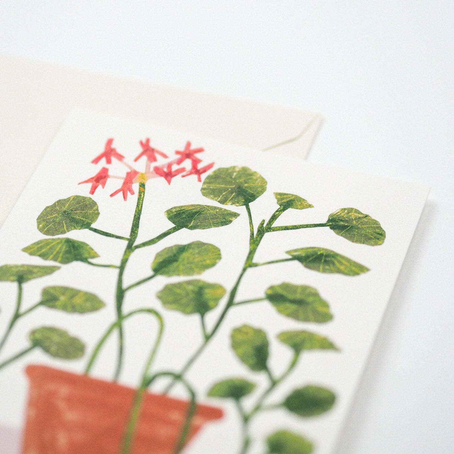 SCENTED GERANIUM CARD