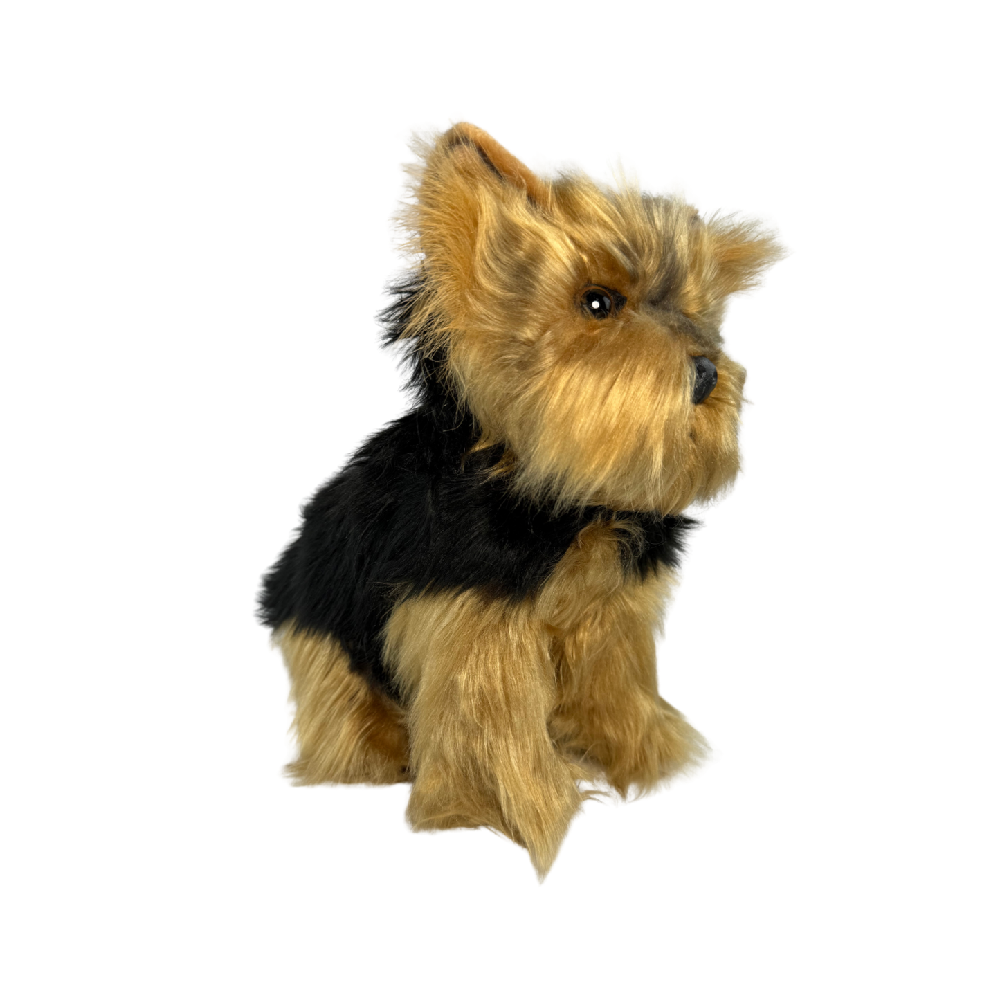 AUSTRALIAN YORKSHIRE TERRIER TOY DOG (SMALL)