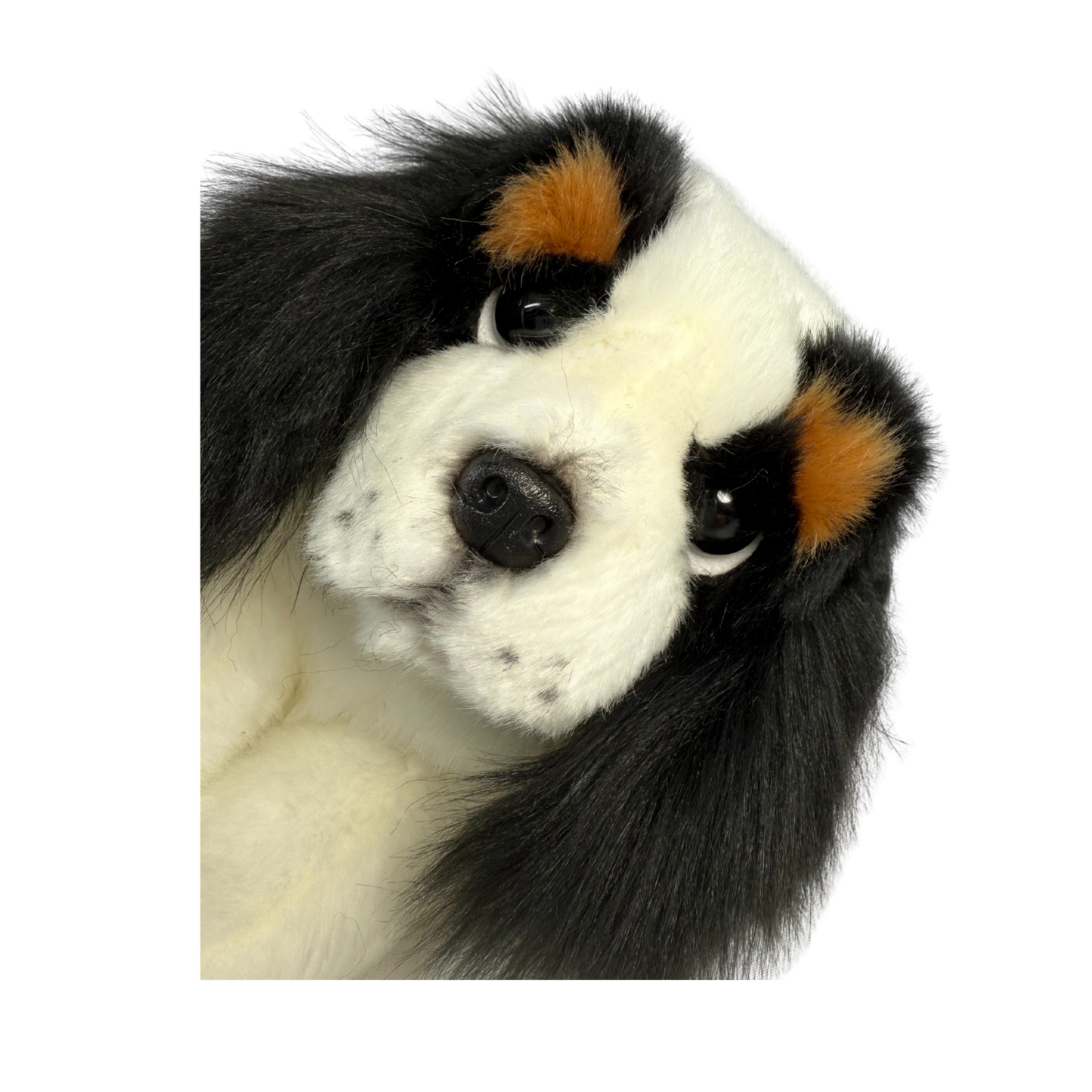 CAVALIER KING CHARLIE SPANIEL TOY DOG (SMALL)