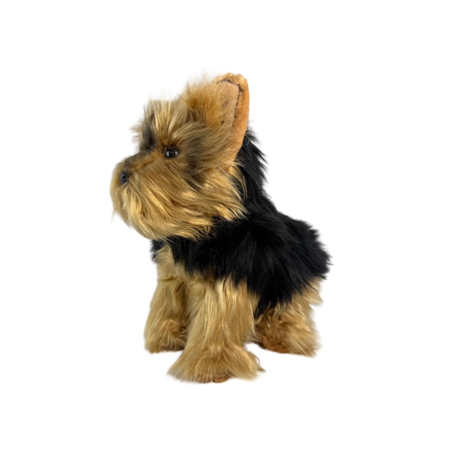 AUSTRALIAN YORKSHIRE TERRIER TOY DOG (SMALL)