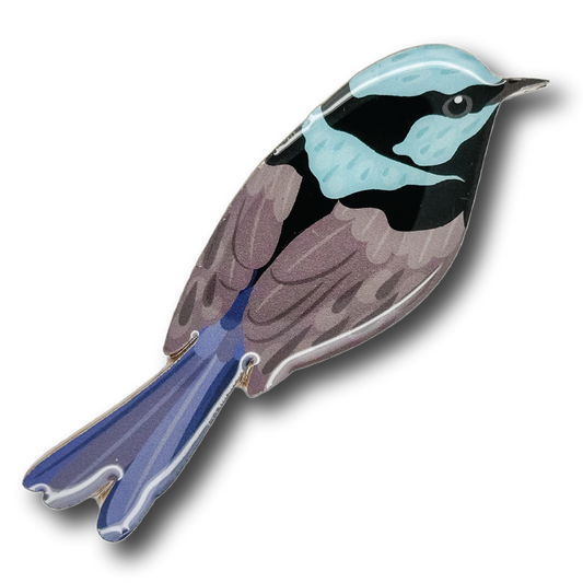 Superb Fairy-wren Brooch