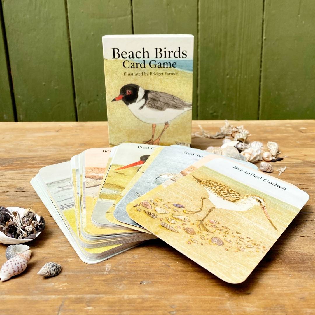 THE BEACH BIRDS CARD GAME