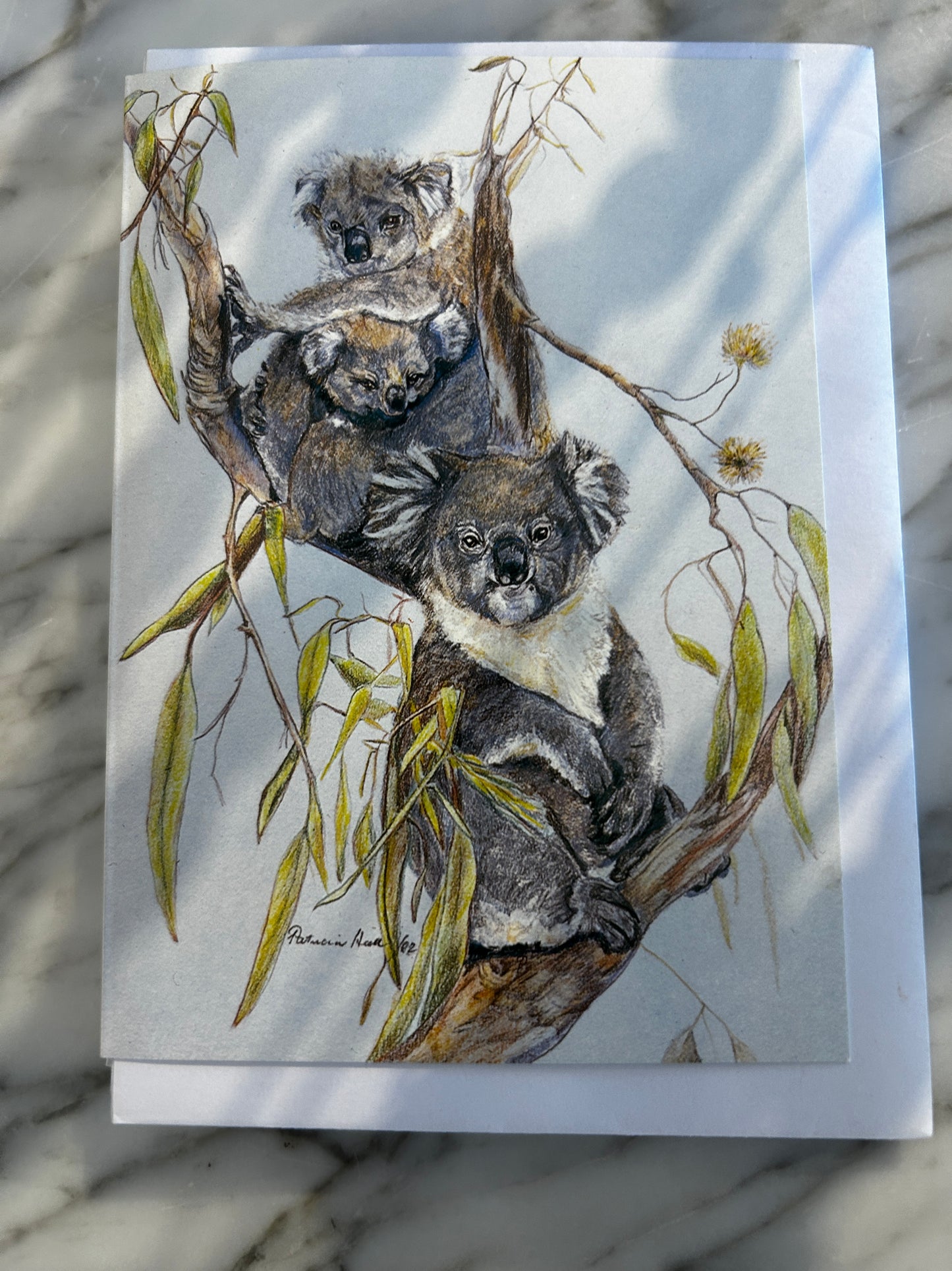 KOOKABURRA & KOALA CARDS