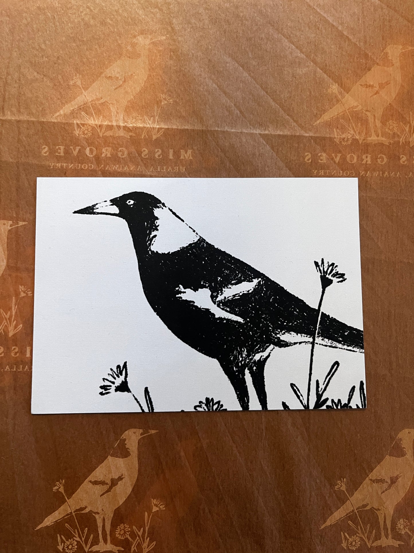 MISS GROVES / URALLA POST CARD