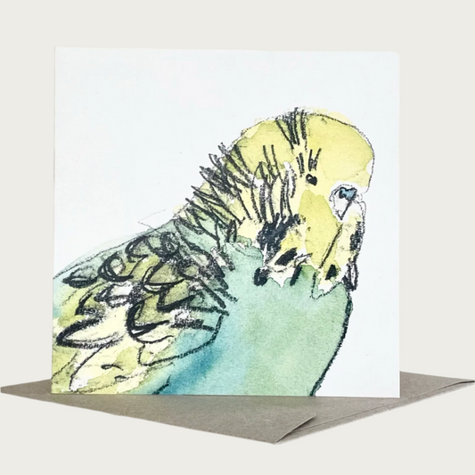 GREETING CARD – BUDGIE IV