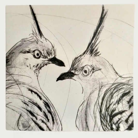 GREETING CARD – CRESTED PIGEONS