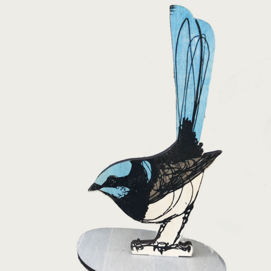 STANDING BIRD – SUPERB FAIRY WREN