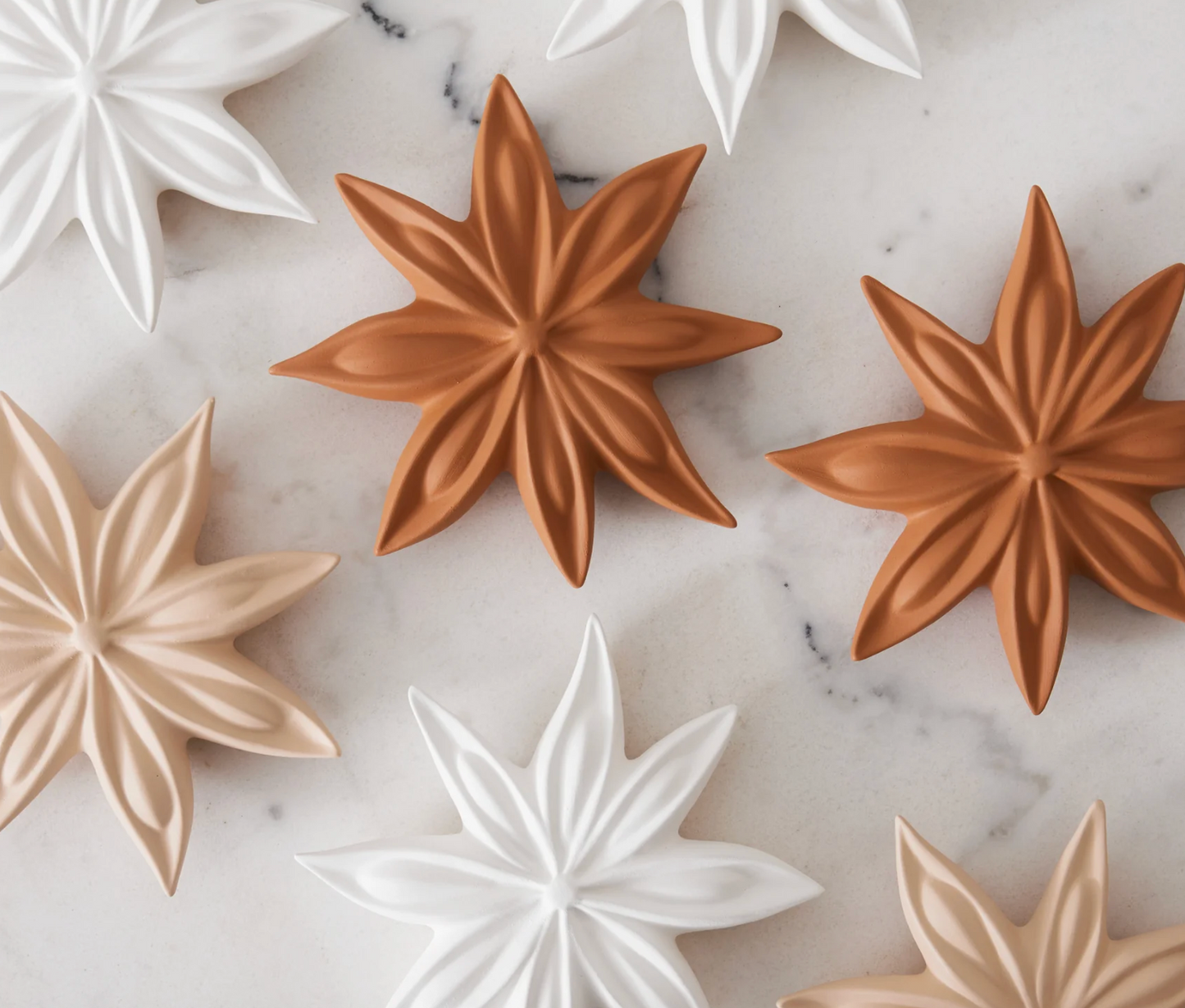 STAR ANISE FLOWER JANIS