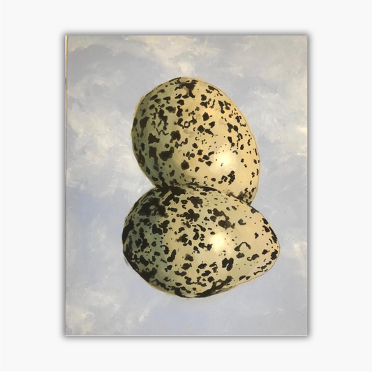 PLUVER EGGS OIL ON CANVAS