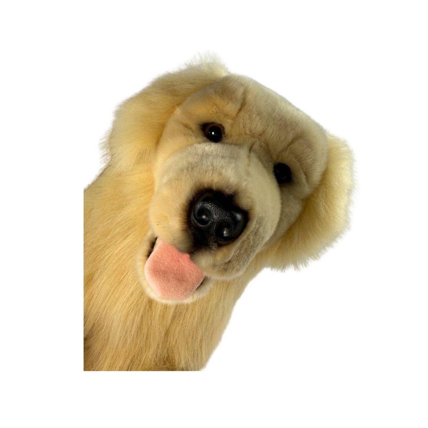 GOLDEN RETRIEVER TOY DOG (XL)