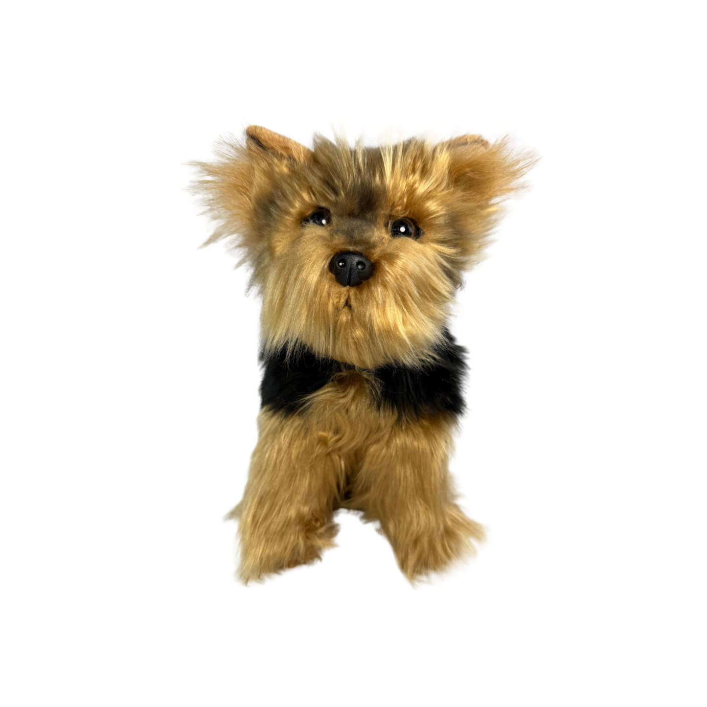 AUSTRALIAN YORKSHIRE TERRIER TOY DOG (SMALL)