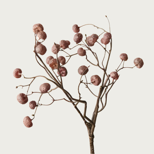 LYCHEE SPRAY