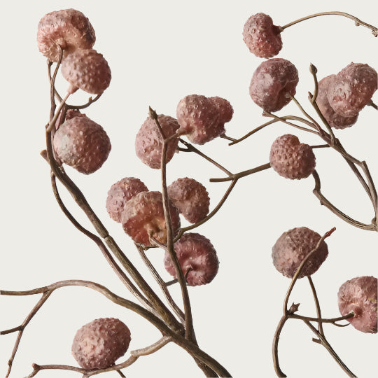 LYCHEE SPRAY