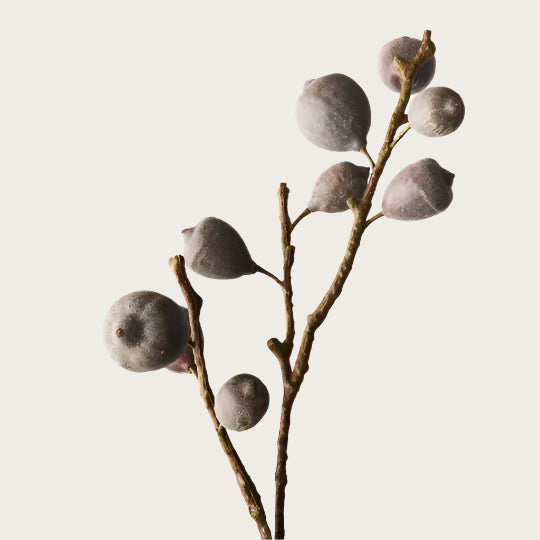 FIG SPRAY