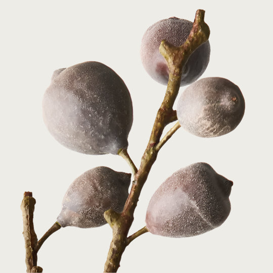 FIG SPRAY