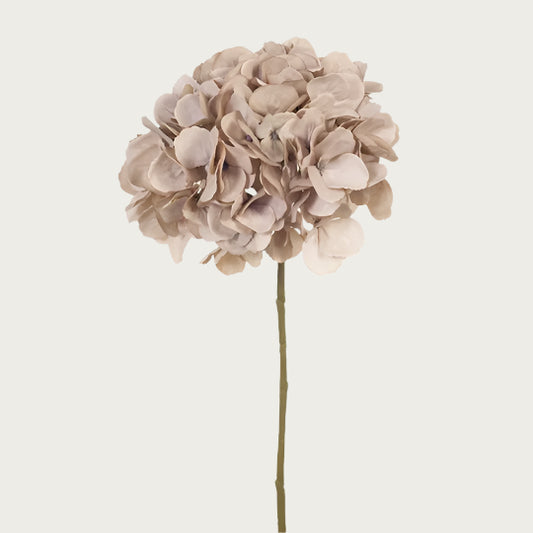 HYDRANGEA LEAF